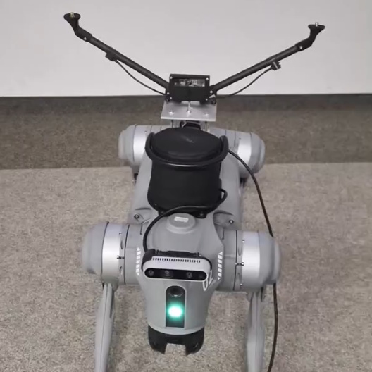 Robot kroczący z antenami