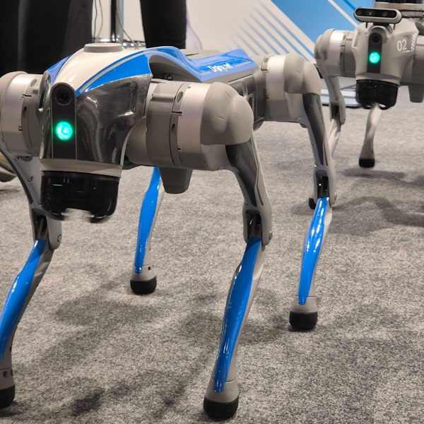 Dwa roboty kroczące, ustawione jeden za drugim