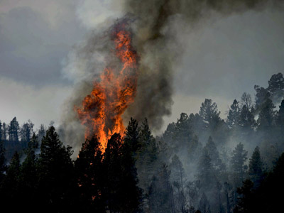 Lokalizacja źródła pożaru lasu z drona